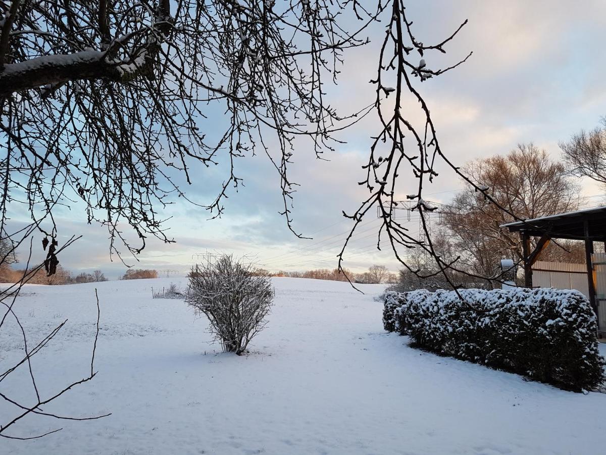 Landpension Zum Schweizerberg Neugrimnitz Eksteriør billede