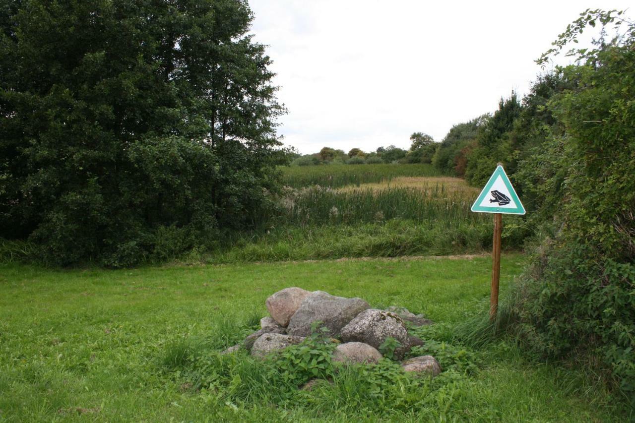 Landpension Zum Schweizerberg Neugrimnitz Eksteriør billede