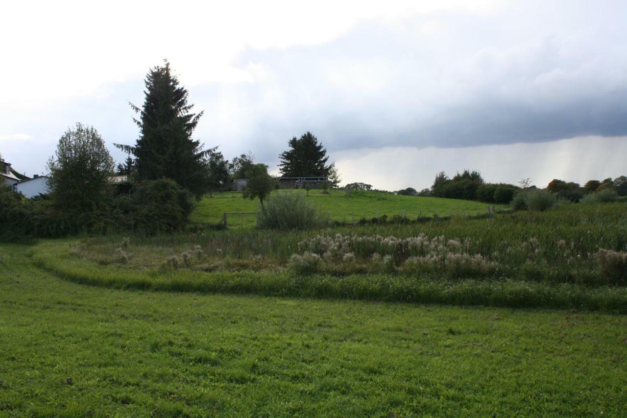 Landpension Zum Schweizerberg Neugrimnitz Eksteriør billede