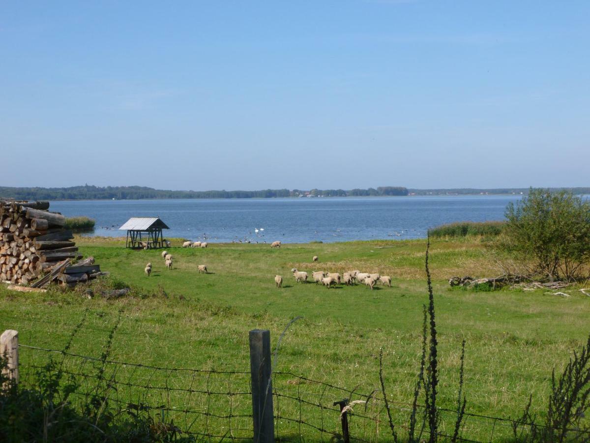 Landpension Zum Schweizerberg Neugrimnitz Eksteriør billede